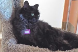 Picture of Mama