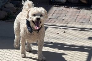 Picture of Maxx