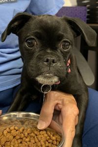 Picture of Maya