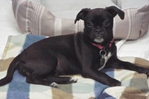 Picture of Maya