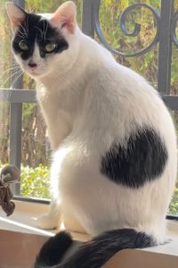 Picture of Mikka