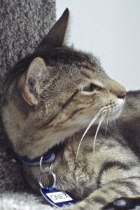 Picture of Onex