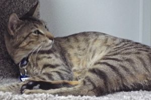 Picture of Onex