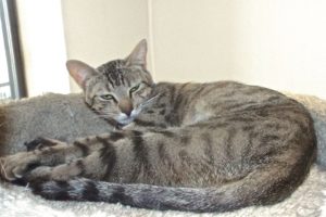 Picture of Onex