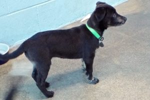 Picture of Skittles