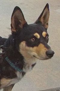 Picture of Tony