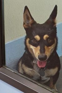 Picture of Tony
