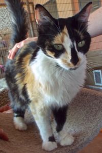 Picture of Abigail