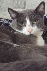 Picture of Count