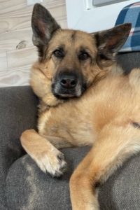 Picture of Heidi