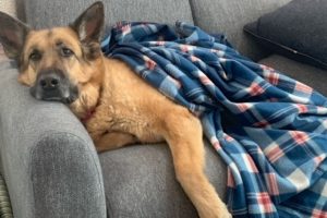 Picture of Heidi