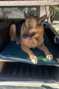 Picture of Heidi