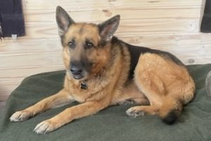 Picture of Heidi