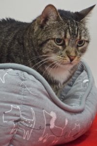 Picture of Katie