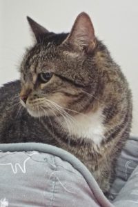 Picture of Katie