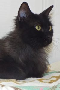 Picture of Mama