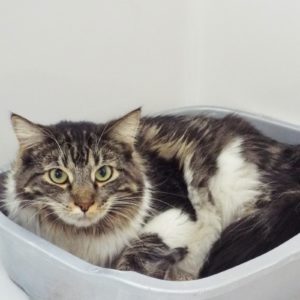 Picture of Nina