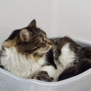 Picture of Nina