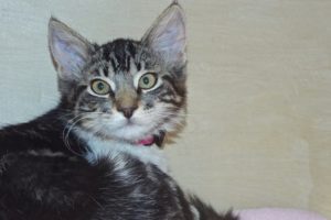 Picture of Nina