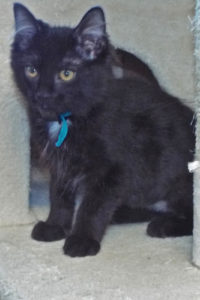 Picture of Orbit