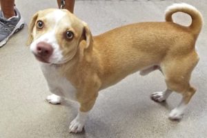 Picture of Timon (found)