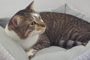 Picture of Carter
