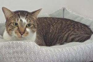 Picture of Carter