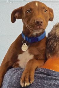Picture of Earl