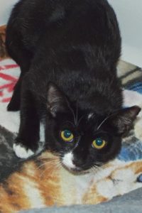 Picture of Empress