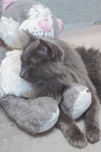 Picture of Floof