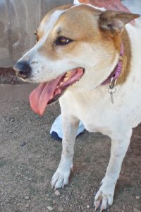 Picture of Grace