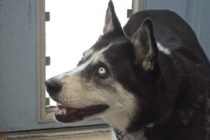 Picture of Maxine