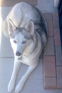 Picture of Mia