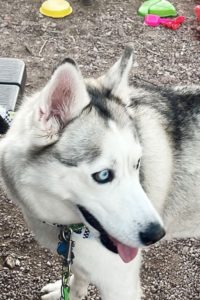 Picture of Mia