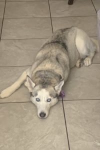 Picture of Mia