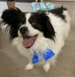Picture of Sparky