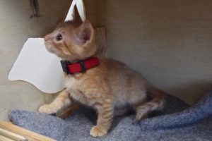 Picture of Arthur