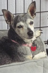 Picture of Frannie