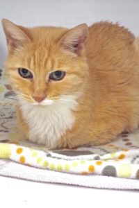 Picture of (Ms) Jasper