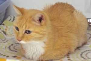 Picture of (Ms) Jasper