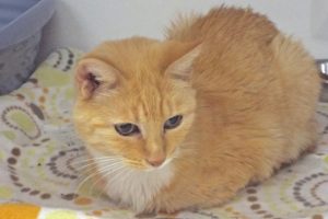 Picture of (Ms) Jasper