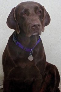 Picture of Athena
