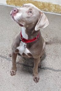 Picture of Libby