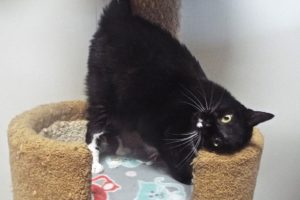Picture of Luna