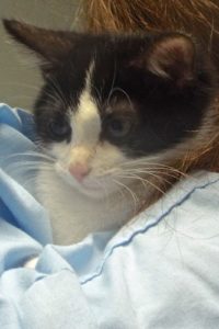 Picture of Macy
