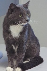 Picture of Mama
