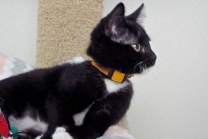 Picture of Mason