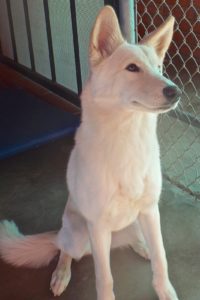 Picture of Freya