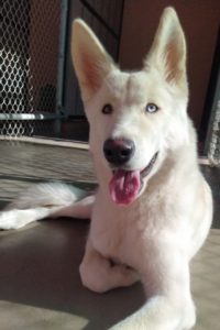 Picture of Freya