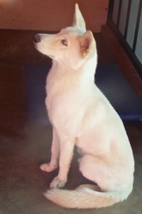 Picture of Freya